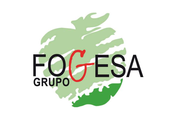 Grupo Fogesa