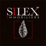 Silex ImmobiliÃ¨re